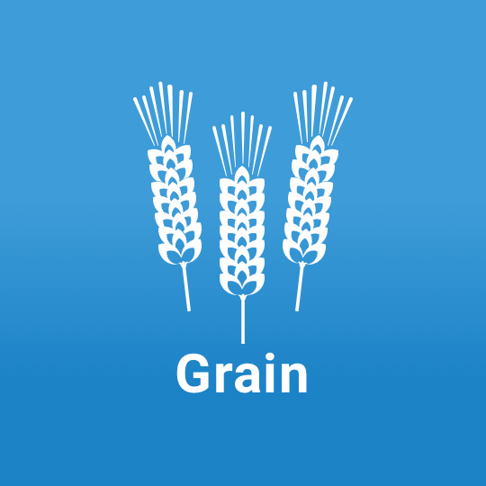Grain_text