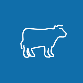 cattle-icon