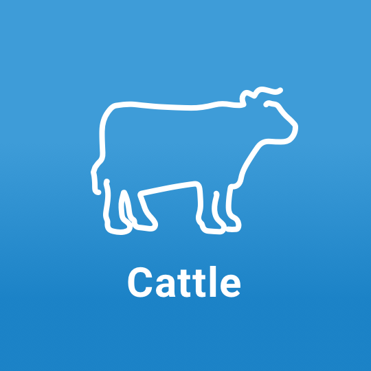 cattle-icon-type-dk@2x
