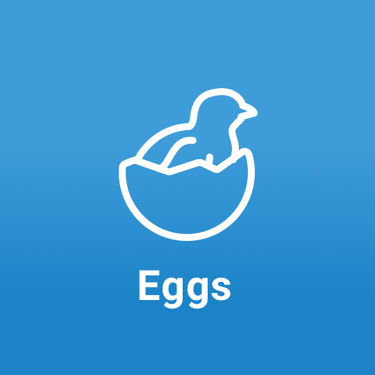 egg-icon-type-dk@2x